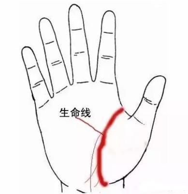 生命线很短是什么意思 生命线短说明什么