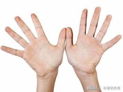 生命线很短是什么意思 生命线短说明什么