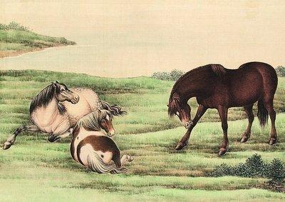 生肖马是几多年的 不同年份出生的属马人命运如何