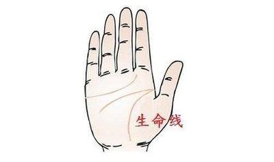 生命线短是什么意思 生命线短的人命运怎么样