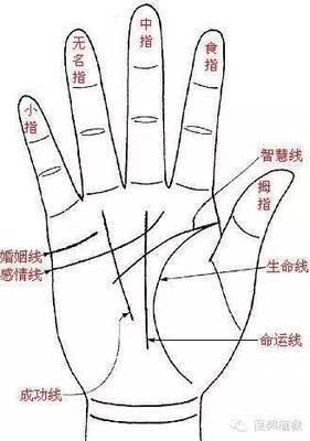 生命线短是什么意思 生命线短的人命运怎么样