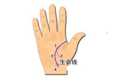 生命线长短代表什么 手相生命线长短意味着什么