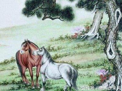 生肖马的配对宜忌  哪些地方需要注意