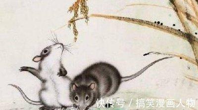 生性倔强是指什么生肖 生来脾气就大