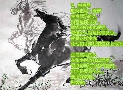 生肖马适合的植物 属马人适合养什么植物