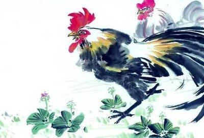 生肖鸡7月运势发展 不看一定会后悔
