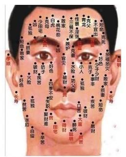 田字五行属什么(生辰八字看五行属性)
