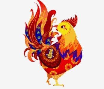 生肖鸡和生肖鸡能否结合 两个属鸡的人在一起如何