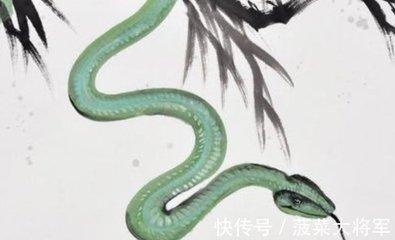 生肖狗和生肖蛇合吗 两人在一起有什么发展