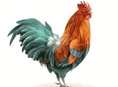 生肖鸡生在几月最好 什么月份出生的属鸡人幸运