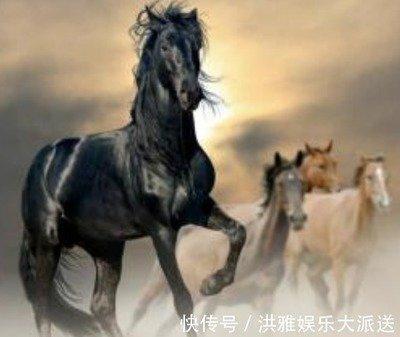 生肖鸡的女人婚姻和命运怎么样 与谁一起最配对