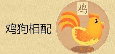 生肖狗的女人对于婚姻的看法 与什么生肖配对才会幸福