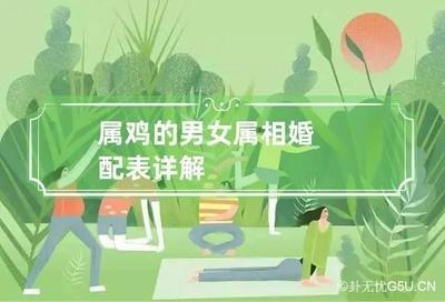 生肖鸡跟什么生肖配对最好最甜蜜