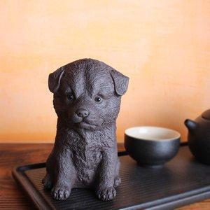 生肖狗适合养什么动物 哪些动物更适合属狗人