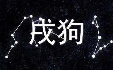 生肖狗适合的植物 属狗人适合养什么植物 生肖狗适合的植物 属狗人适合养什么植物