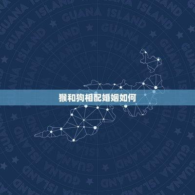 生肖狗配生肖猴好吗 感情婚姻会有何发展