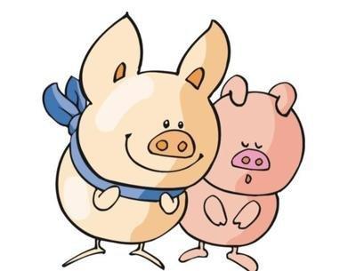 生肖猪2025年是否能够转运哪些运势会有好转