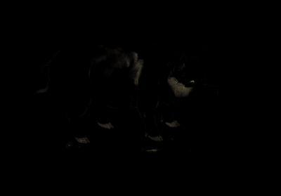 生肖猪不爱你的表现 怎么能看出属猪人不爱你