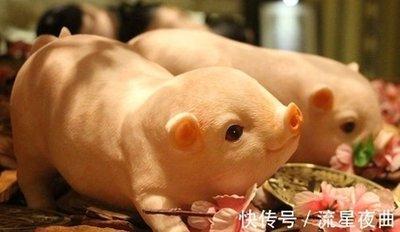 生肖猪事业上的合作伙伴 属猪与哪些生肖合作好
