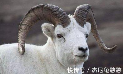 生肖中哪个生肖最会说脏话 最爱说脏话的生肖
