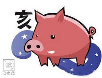 生肖猪和12生肖的配对关系 与什么生肖最配