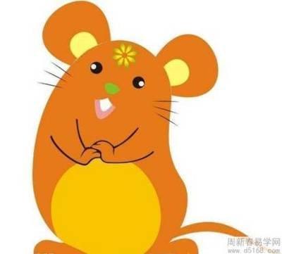 生肖鼠出生在几点最好 什么时辰出生是属鼠人好
