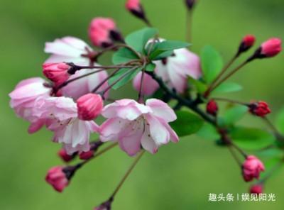 生肖中谁有孝心 最孝顺的生肖有什么