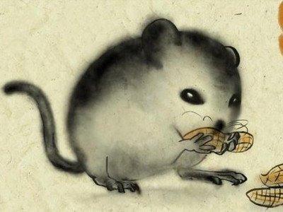 生肖鼠哪个月份比较好 什么月份出生的属鼠人命好