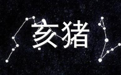 生肖猪女配什么生肖男 属猪女最爱怎样的男人
