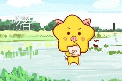 生肖猪摆什么花最好 属猪摆人哪几种花能旺财