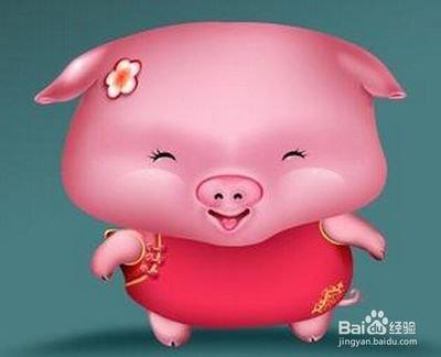 生肖猪明年会有哪些吉凶祸福怎么看