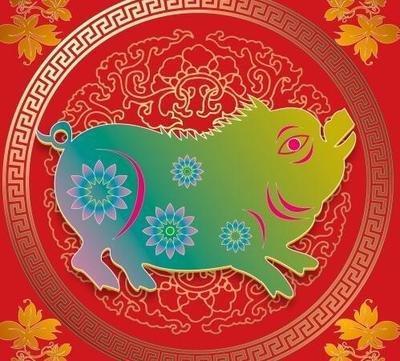 生肖猪最近的运势怎么样生肖猪5月后半月运势详解