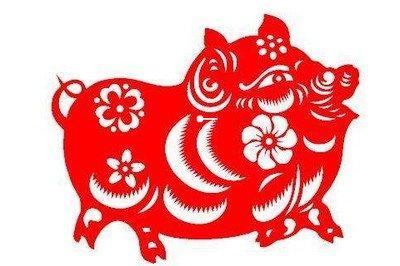 生肖猪最近的运势怎么样生肖猪5月后半月运势详解