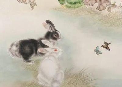 生肖兔一生的财运发展 属兔人家里摆什么旺财
