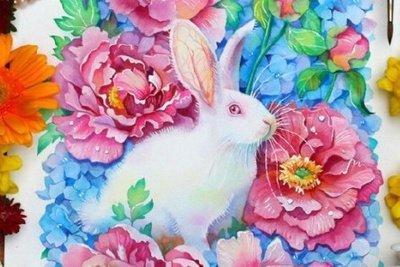 生肖兔一生的财运发展 属兔人家里摆什么旺财