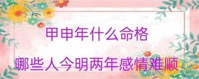 甲申年是哪一年此年出生的人命格如何
