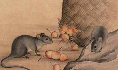 生肖鼠的寿命有多长 什么月份出生的属鼠人命好