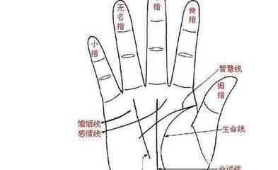 男士生命线图片 男人手中生命线不同解释