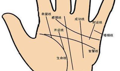 男士生命线图片 男人手中生命线不同解释