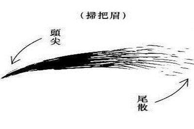 男人有扫把眉运势怎么样 面相为你来分析