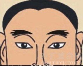 男人有扫把眉运势怎么样 面相为你来分析