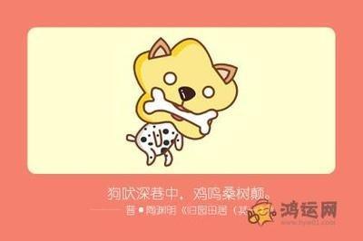 男属马与属狗女婚配 这对组合配对的结果怎么样