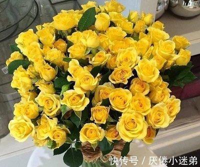 男属马人为什么不能和女属牛人相配 为什么不配