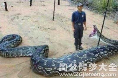 男人梦见大蟒蛇(男人梦见大蟒蛇在水里)