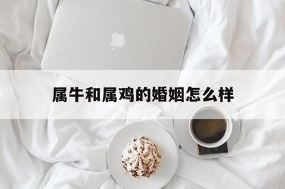 男属鸡女属牛婚姻匹配吗他们能否有幸福的婚姻