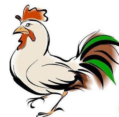 男属鸡女属鸡婚姻好不好 生肖鸡自刑可以在一起吗