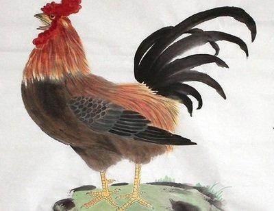 男属鸡配什么生肖 生肖鸡男与哪几个生肖很配
