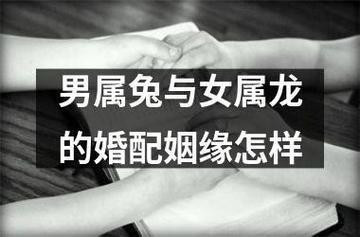 男属龙和女属兔的婚姻 男属龙和女属兔的姻缘关系