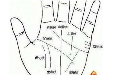 男人生命线图解 你会看男人手中的生命线吗 男人生命线图解 你会看男人手中的生命线吗