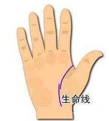 男人生命线的3种不同诠释 男人生命线手相详解